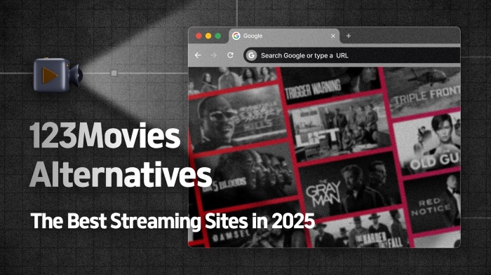123Movies banner